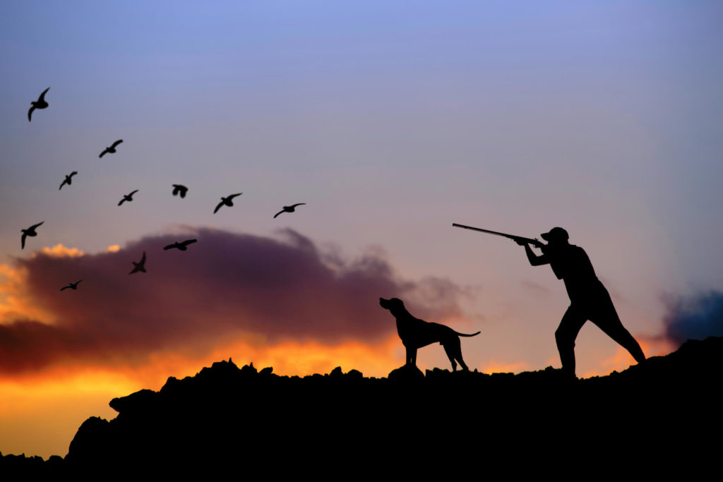 Caccia animali acquatici una caccia con passione