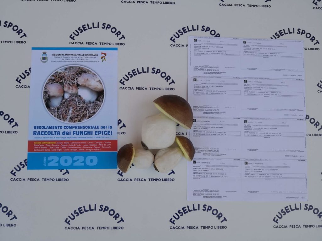 raccolta funghi