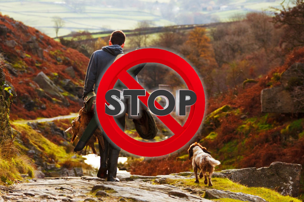 stop alla caccia in tempo di covid